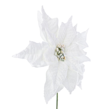 Flor de pascua blanca 25cm