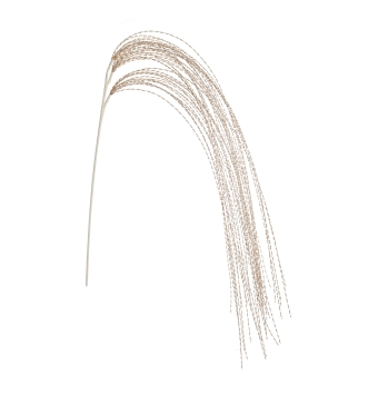 Ramo Decorativo Capelli...