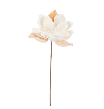 Flor de Magnolia Ertemios...