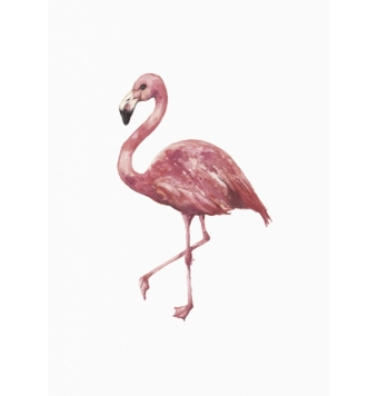 Cuadro Flamingo SQ045 -...